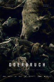 Oderbruch series tv