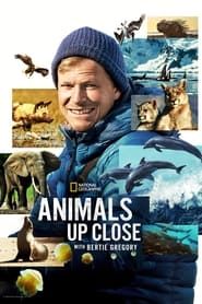 Animals Up Close with Bertie Gregory series tv
