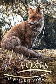 Foxes: Their Secret World series tv