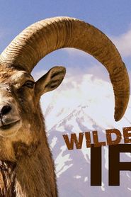 Wild Iran series tv