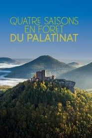 Image Quatre saisons en forêt du Palatinat