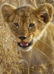 Serengeti - La grande cavalcade des animaux series tv