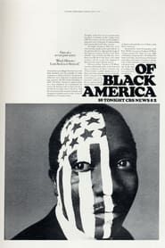 Image Of Black America