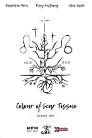 Colour of Scar Tissue series tv