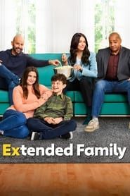 Extended Family 2020</b> saison 01 