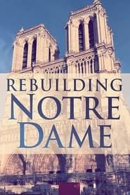 Rebuilding Notre-Dame series tv