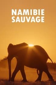 Image Namibie sauvage