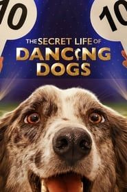 The Secret Life of Dancing Dogs series tv