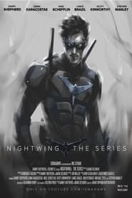 Nightwing: The Series series tv