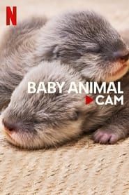 Baby Animal Cam series tv