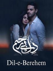 Dil-e-Bereham series tv