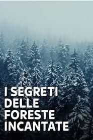 I Segreti Delle Foreste Incantate series tv