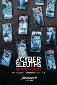 #CyberSleuths: The Idaho Murders series tv