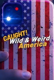 Wild & Weird America series tv