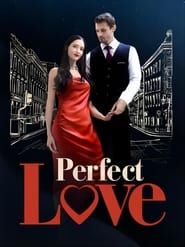 Perfect Love series tv