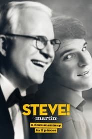 STEVE! (martin) a documentary in 2 pieces series tv