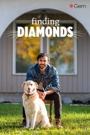 Finding Diamonds series tv