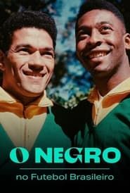 O Negro no Futebol Brasileiro series tv