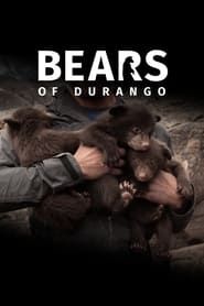 Bears of Durango series tv