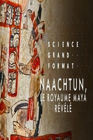 Image Naachtun, le royaume maya révélé