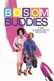 Bosom Buddies (1980)