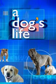 A Dog's Life series tv