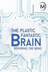 Image Plastic Fantastic Brain