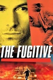 The Fugitive series tv
