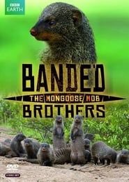 Banded Brothers saison 01 episode 01  streaming