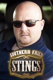 Southern Fried Stings</b> saison 01 