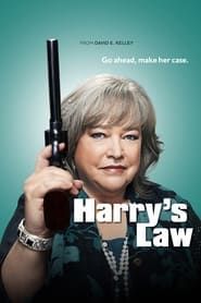 Harry's Law series tv