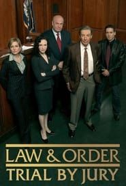 Law & Order: Trial by Jury series tv