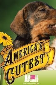 America's Cutest Puppies series tv