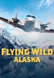 Image Flying Wild Alaska