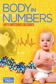 Body in Numbers series tv