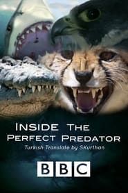 Image Inside the Perfect Predator