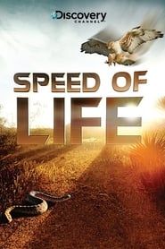 Speed of Life</b> saison 01 