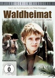 Waldheimat series tv