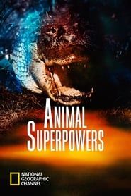 Animal Superpowers 2012</b> saison 01 