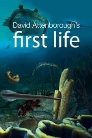 First Life series tv
