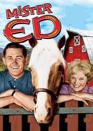 Monsieur Ed, le cheval qui parle (1961)