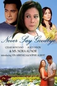Never Say Goodbye series tv