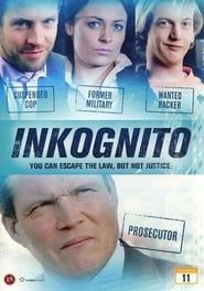 Inkognito (2013)