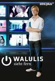 Walulis sieht fern 2014</b> saison 01 