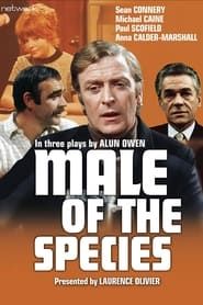 Male of the Species series tv