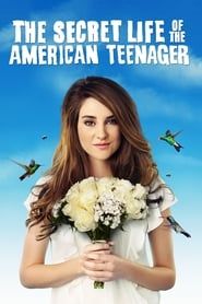 The Secret Life of the American Teenager series tv