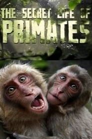 The Secret Life of Primates series tv