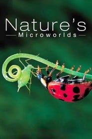 Nature's Microworlds-hd