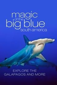 The Magic of the Big Blue (2013)