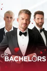The Bachelor series tv